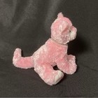 Ty Beanie Baby - Carnation The Pink Cat  6 Inch  - Mwmts Stuffed Animal Toy