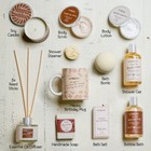 Birthday Gift Basket  Bath And Spa Gift Set For Women - Coconut Scent - Diffuser