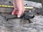 Vintage Rustic Animal Leg Trap