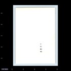 Old Vintage Photo Men Woman In Living Room