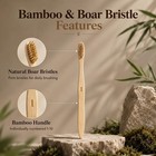 Boar Bristle Bamboo Toothbrush 10 Pack     100  Natural Bristles  Self-standing   