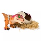 Primal Hatch Interactive Hatching Dino Action Figure - Green