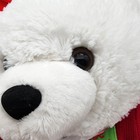 2014 Walmart Christmas Teddy Snowflake Bear Plush 15  Dan Dee White Fur Female