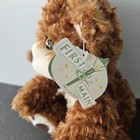 2016 First   Main 10 brown Bear Plush  willoughby  Stuffed Animal Toy Tags