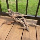 Intricate Root Driftwood 17in Natural Organic Wood Terrarium Aquascaping Decor