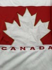 Nike Team Canada 2014 Olympic Hockey Jersey White Size Large L