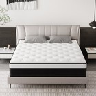 14  Mattress In A Box Hybrid Pocket Foam Queen Mattress Memory Foam Best Sleep