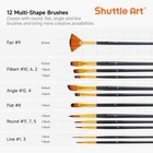 Shuttle Art 12 Pcs Paint Brush Set With Case  Assorted Shapes   Sizes Black