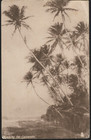 Ceylon  sri Lanka  - Raphael Tuck Ppc - 2 X Gv 3c Green Stamps C 1910s