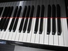 Yamaha 2025 C7x Grand Piano Outlet
