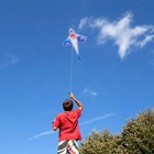 Kites For Kids And Adults  Easy To Fly For Beach  Single Line Kite Set For Begin