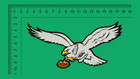 Huge 15-inch White Chenille Philadelphia Eagles Patch Iron-on