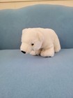 Marshmallow The Polar Bear Plush 13  Borders Exclusive 2007 Princess Soft Toys