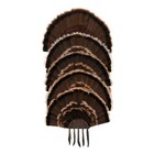 Allen Ez Mount Stackable Turkey Fan   Beard Wall Mount Display  Holds 5  7258