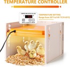 Chick Brooder  Chicken Brooder Heating Plate For Chicks With Adjustable Beige 