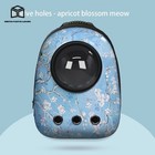 Breathable Portable Pet Carrier Backpack Dog Cat Bag Travel Bag Space Capsule