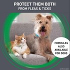 Cat Flea And Tick Treatment- Frontline Plus For Cats   Kitten 8 Weeks   6 Doses