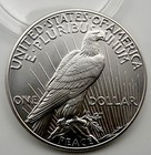 999 Fine Silver 2023 Peace Dollar 1 Troy Oz  Us Mint W  Original Mint Capsule