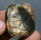 4cm Chinese Hongshan Culture Old Jade Carve Tortoise Turtleshell Amulet Pendant