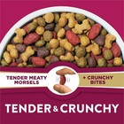  Dog Chow Tender And Crunchy With Real Lamb And Turkey Flavor Adult Dry Dog Food