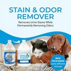 Cats   Dogs Urine Odor Eliminator Stain Remover Enzyme Carpet Cleaner 1 Gallon