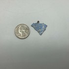 South Carolina Charm Columbia Charleston Enameled Vintage Travel Souvenir Rough