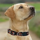 Nfl Licensed Pet Collar Shiny   Colorful Adjustable Dog Collar   Cat Collar