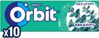 10x14g Wrigley s Orbit Eucalyptus Sugar-free Chewing Gum  100 Pieces Total 