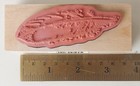 Natural Feather  Wood Mounted Rubber Stamp 3 25 Inch New Inkadinkado