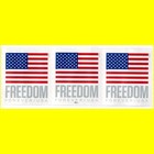 Us Flag Freedom Forever Apu 5788 Pnc P111 Strip Of 11 --legit--    10more  