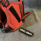 Service Animal Dog Harness Red Nylon Vest With Removable Patches Size Small