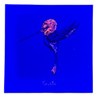 Marq Spusta Hummingbird  light Blue  Micro Print