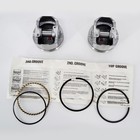 Kb 3-5 8    005  Pistons With Rings For Cci 88 pandemonium   Shovelhead Motors