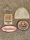 Vintage Lot Of 5 Beer Sew-on Patches Various Brands Labatt   s Lowenbrau Blatz Etc