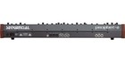 Sequential Prophet-6 Keyboard   New    detroit Modular 
