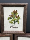 Vtg 1970s Sunset Designs Crewel Embroidery Spice Plaques Framed Set Caraway 3pc