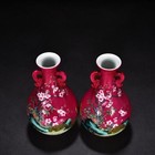 7  China Antique Porcelain Yongzheng Mark Pair Colour Enamels Flower Bird Vase