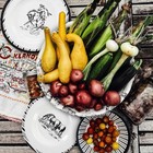 Paseo Road Ranch Life Melamine Dinnerware Set Pk213814