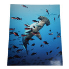 Discovery Magazine Ultimate Book Of Sharks Special Edition Reissued