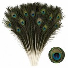 30 Pcs Long Natural Peacock Feathers 31 5-35 4  For Floral Arrangements  Diy Cra