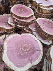      Red Cedar Cookies   7   10    Round   1    Thick   Live Edge Craft Wood Slices