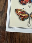 Grateful Dead   Co Butterfly Original Poster - New - Summer Tour 2019 - Original