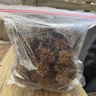 1 Gallon Bag Of Sweet Gum Balls 100  Pods For Arts   Crafts