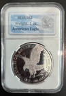 2024   American Eagle    1 Dollar   Silver Plated Proof   Commemorative Edition