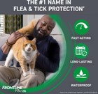 Fontine Plus Flea   Tick Spot Treatment For Cats over 1 5lbs  6 Treatments