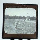 Culloden Moor Gww Magic Lantern