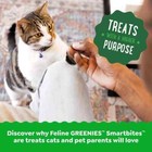 Feline Greenies Smartbites Hairball Control Cat Treats Chicken Flavor 2 1 Oz 