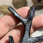 Opalized Wood Branch
