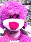 Paramount s Kings Island Amusement Park Vintage Hanna Barbera Plush Bear-w tag 