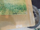Vintage Team Budweiser Anheuser Busch Beer Clydesdale Carriage Poster